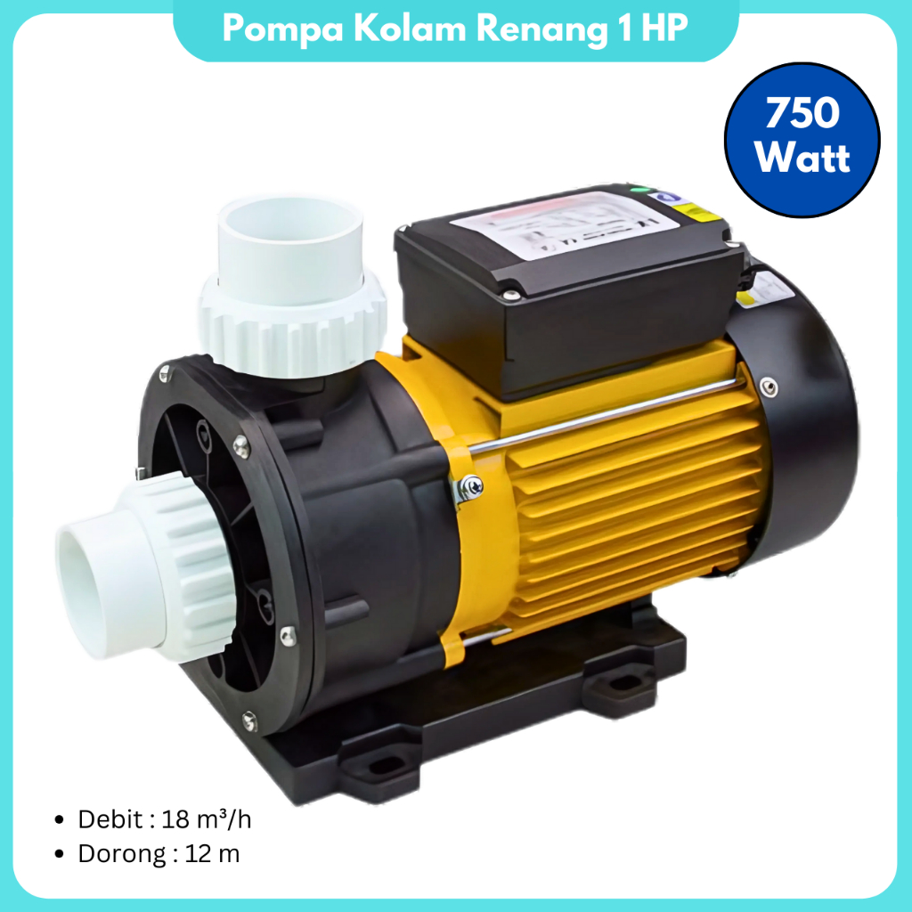 Pompa Kolam Renang 1 HP Mesin Pompa Air TDA100 Kolam Sirkulasi Kolam Renang