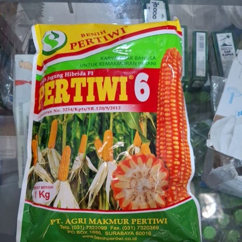 BENIH JAGUNG PERTIWI-6  1kg / PERTIWI6 EXP 26.9.26