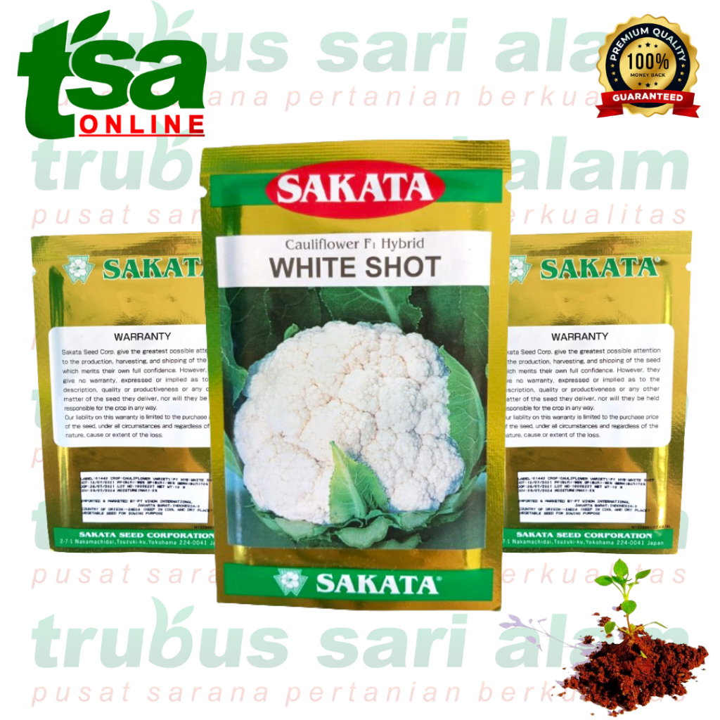 WHITE SHOT F1 - Benih bibit biji sayur sayuran Bunga kembang Kol Hibrida- Cauliflower F1 SAKATA
