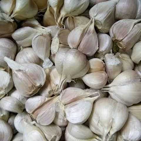 

Bawang Putih Kating Cating FRESH 250gr 500gr 1kg