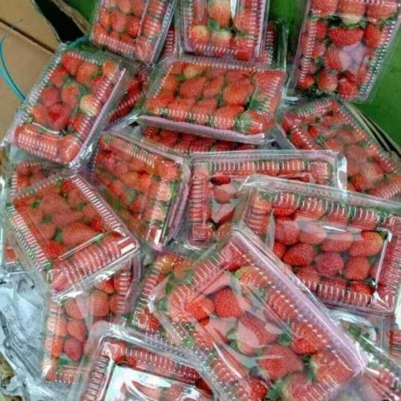 

Buah Strawberry segar fresh/ buah strawberry segar fresh