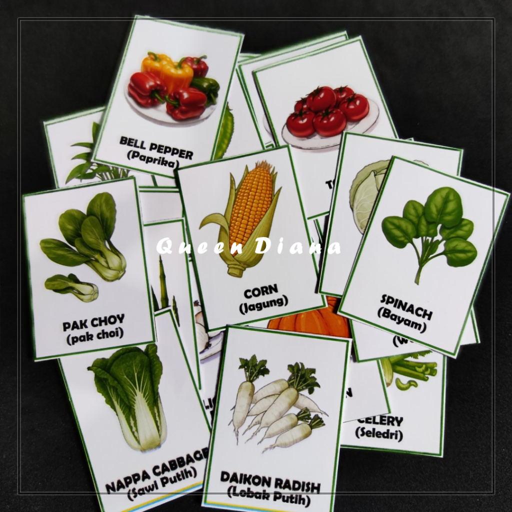 

stiker sayur foto stiker gambar macam-macam sayuran dengan nama bahasa inggris isi 25 pcs