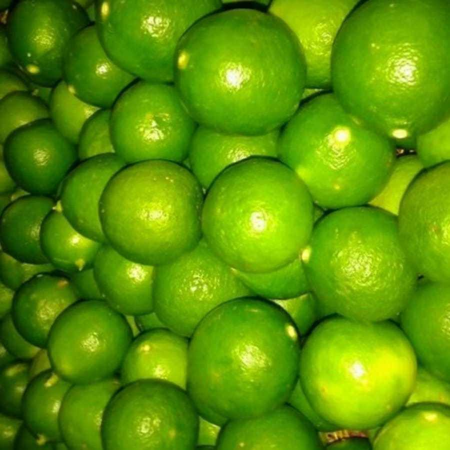 

Jeruk Nipis 250gr 500gr 1kg Asli Segar Fresh