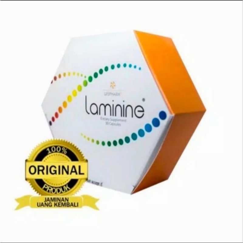 Laminine stemcell isi 30 kapsul