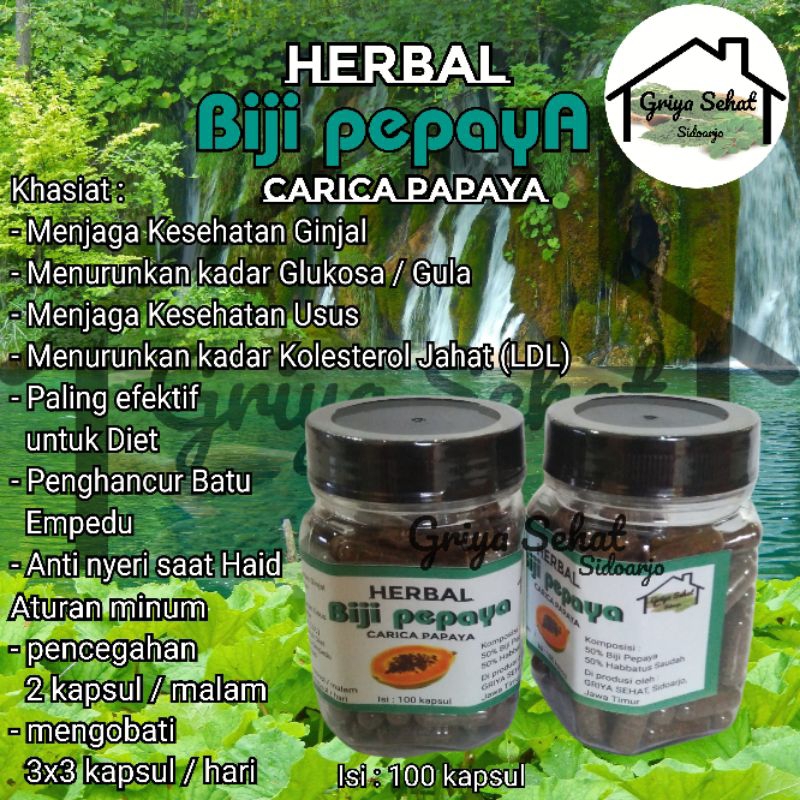 

[GRIYA SEHAT] Biji pepaya bubuk kapsul isi 100