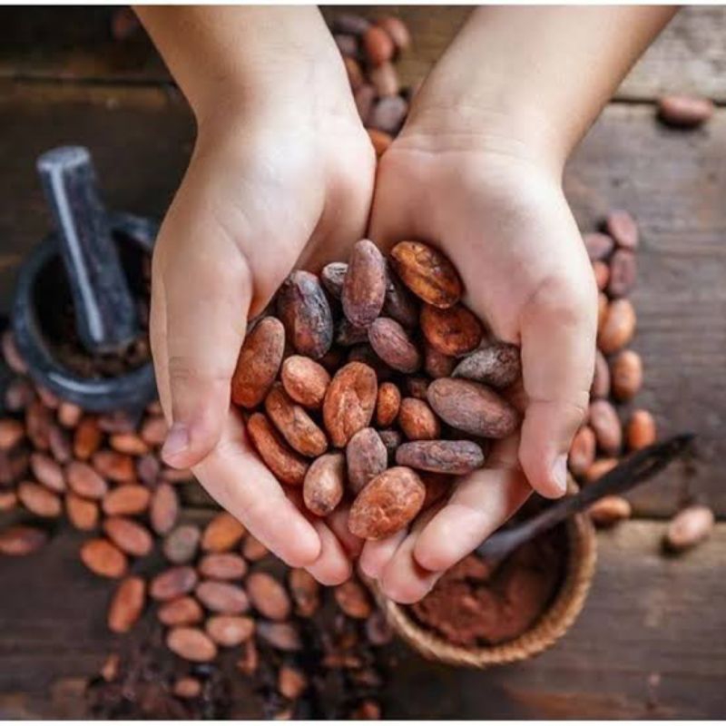 

buah biji pinang tua kering 2 Ton