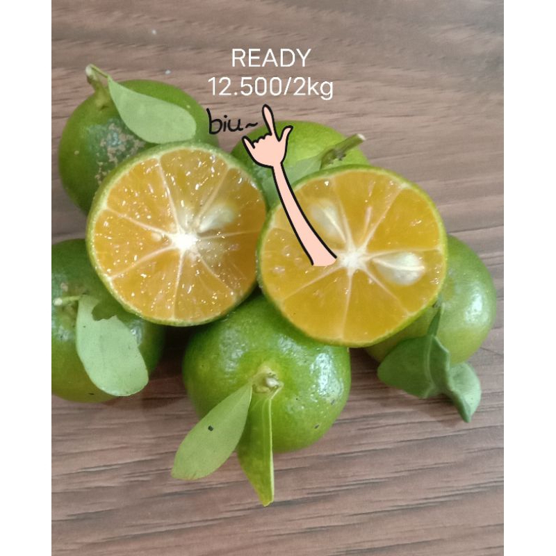 

jeruksongkitkasturilemoncuikancing