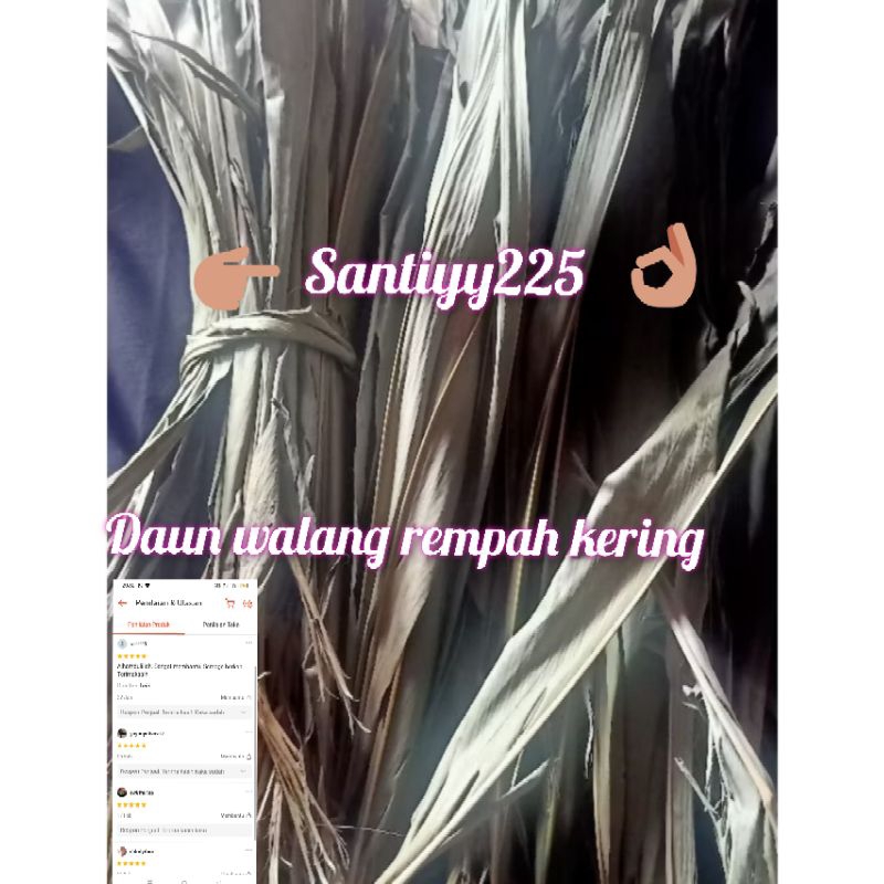 

Daun Walang Rempah Kering/10 Lembar