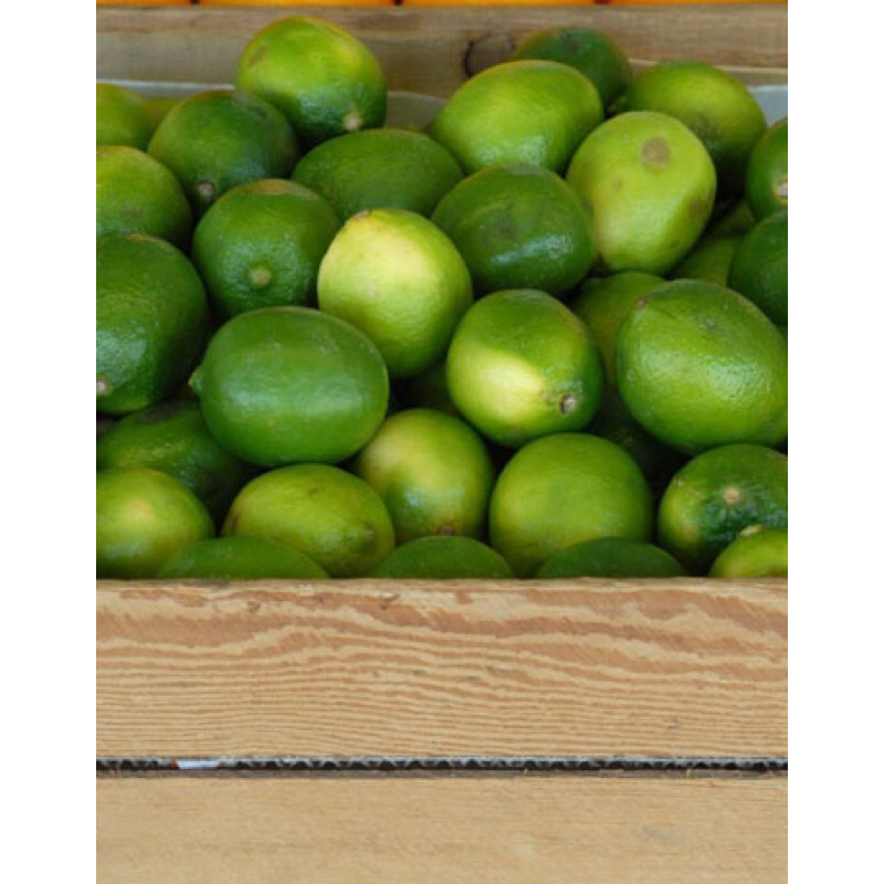 

LEMON kalifornia 1 kg SEGAR LANGSUNG DI PETIK DARI KEBUN