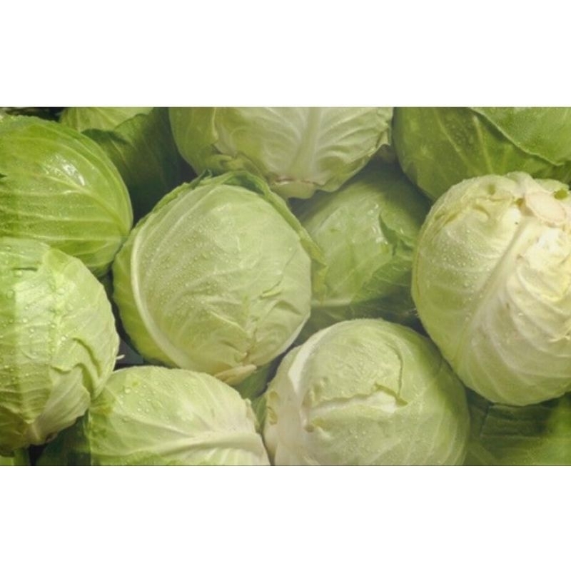 

Sayur kubis / kol 1kg