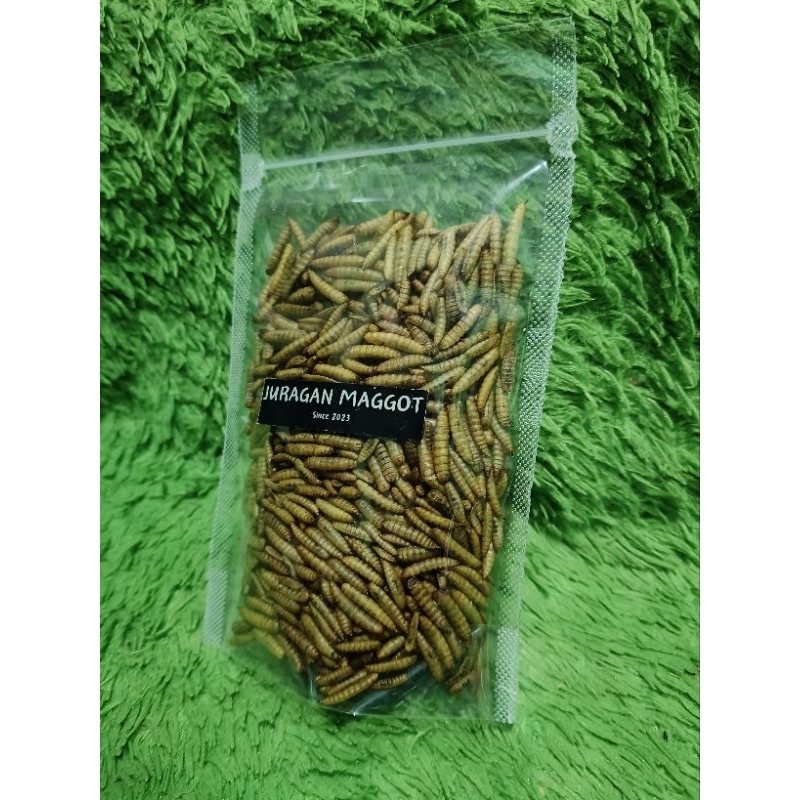 PROMO Maggot kering pouch makanan ikan hias makanan ikan chana makanan ikan koi