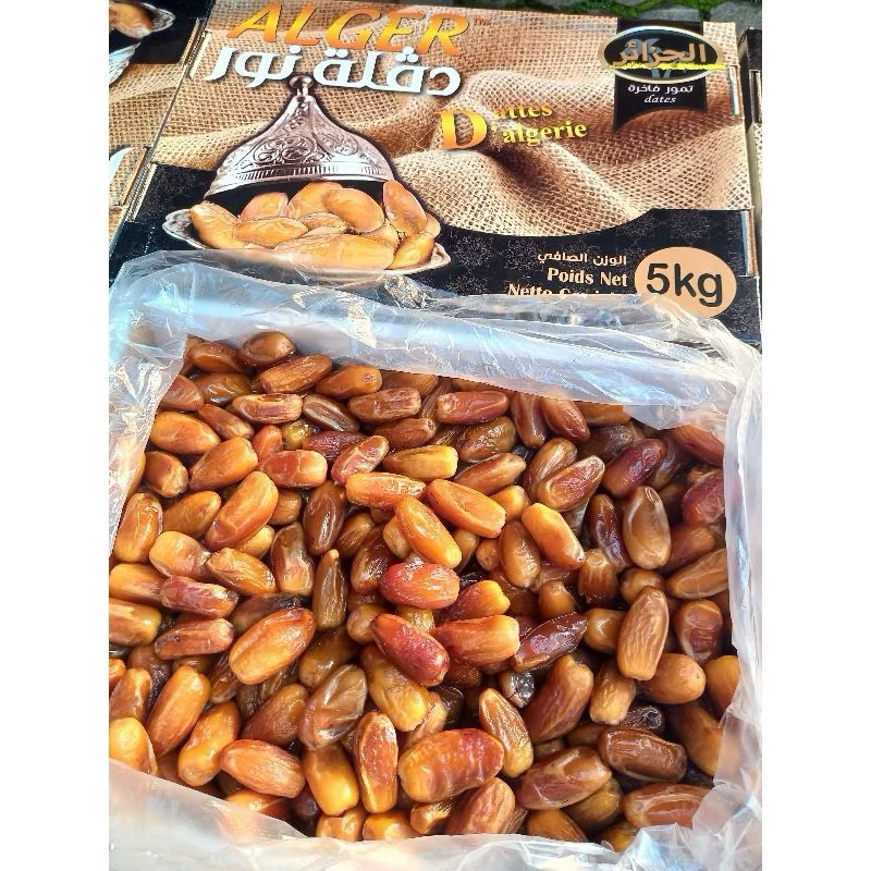 

Kurma tunisia madu alger produksi terbaru grosir kurma ramadhan
