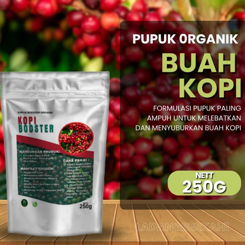 Pupuk Pelebat Buah Kopi Pupuk Booster Buah Kopi Pupuk Organik Cepat Berbuah Lebat Kopi