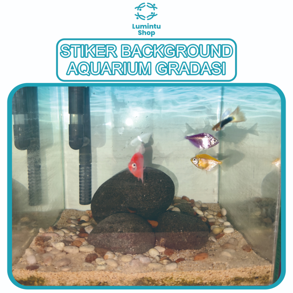 STIKER BACKGROUND AQUARIUM GRADASI BERBAGAI WARNA