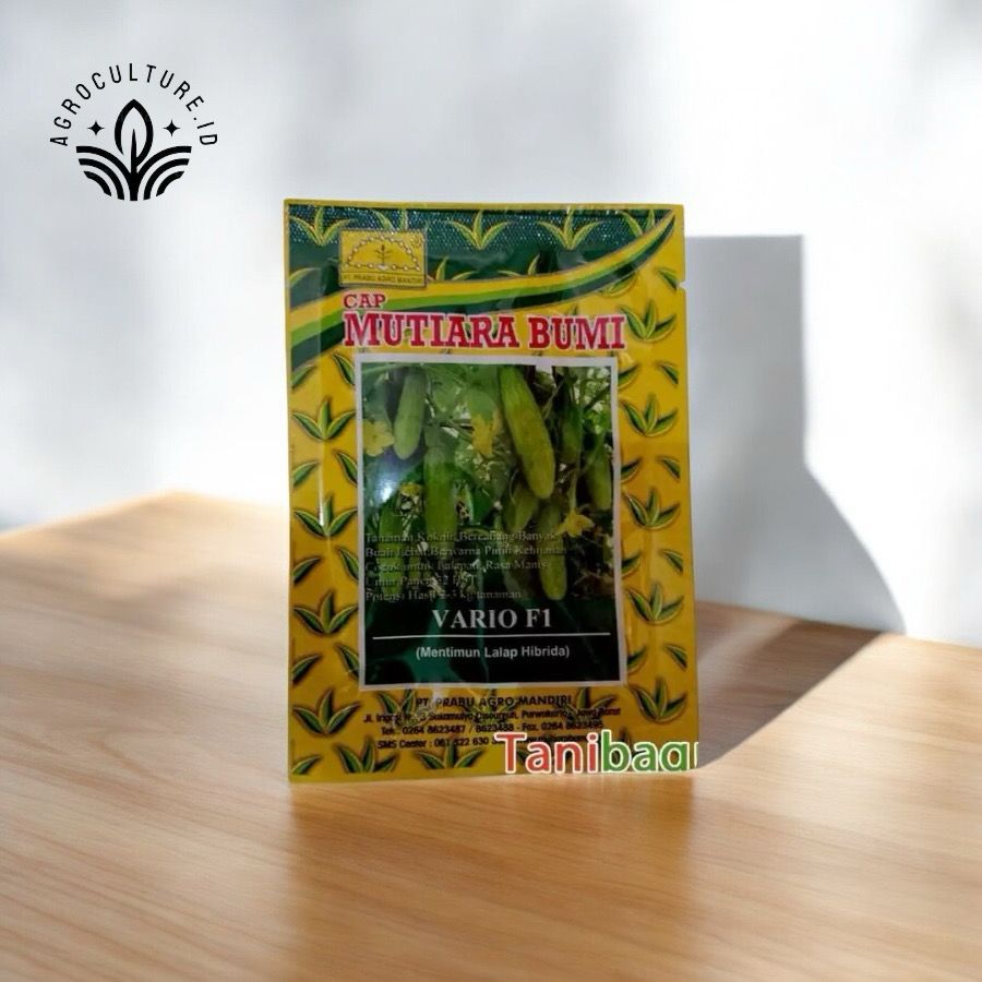 BENIH MENTIMUN LALAP HIBRIDA VARIO F1 - 20 GRAM (MUTIARA BUMI)