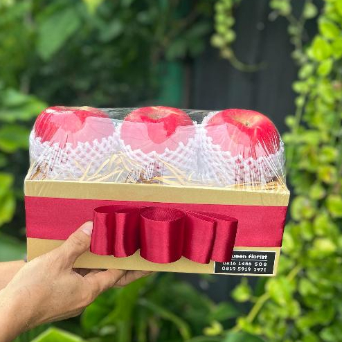 

Hampers Buah Fresh Premium