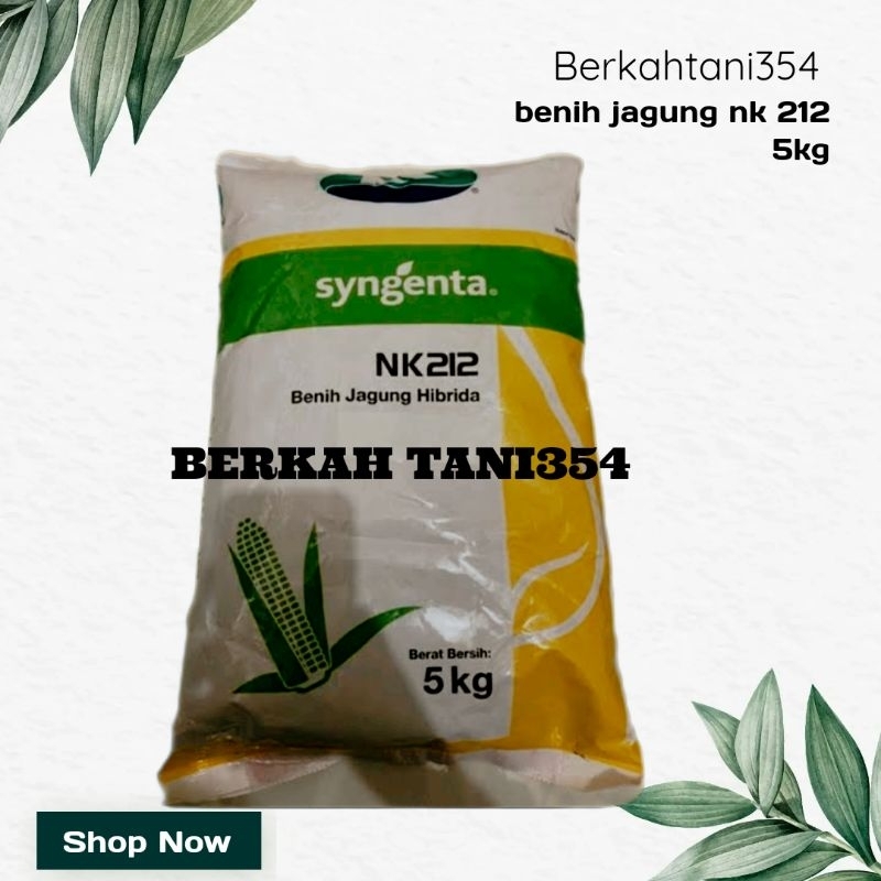 benih jagung hibrida nk 212 kemasan 5kg nk 212 5kg benih jagung hibrida