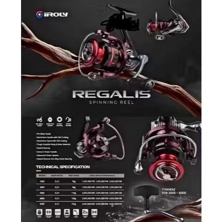 IROLY REGALIS 1000-6000