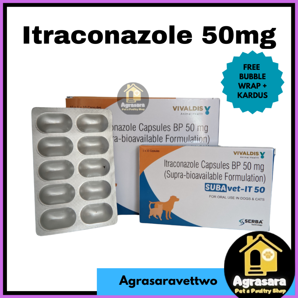 Itraconazole 50mg Vivaldis ( 1Tablet ) - Obat Jamur Khusus Untuk Anjing Dan Kucing Ampuh