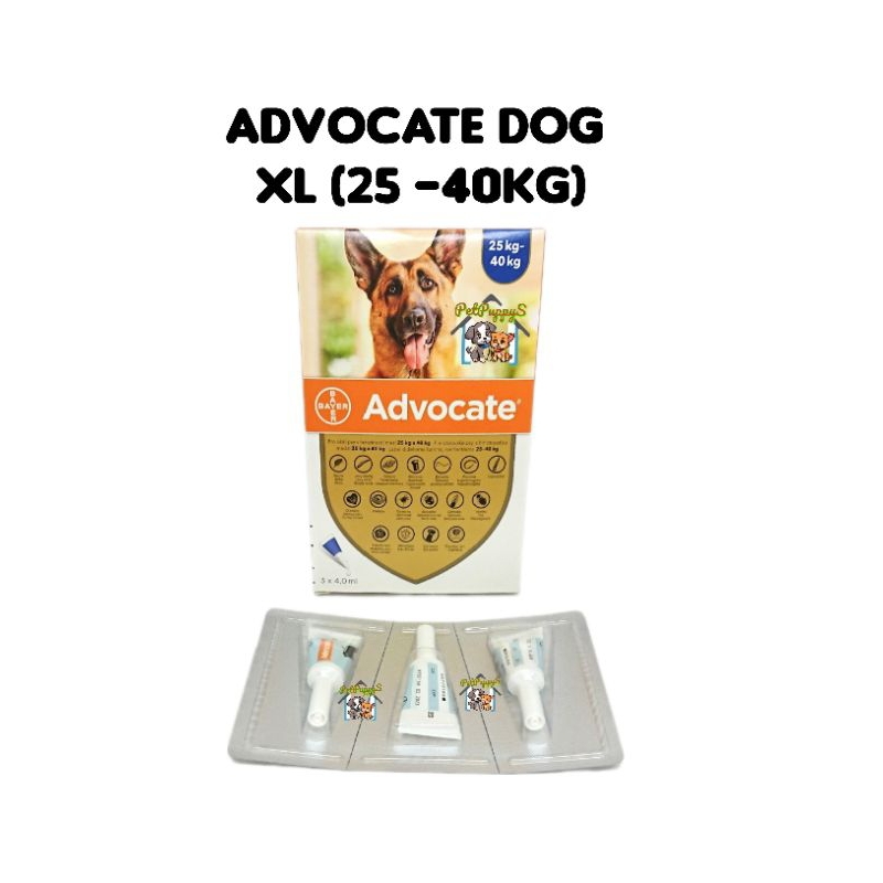 Advocate dog XL 25-49kg harga pertube onat kutu anjing