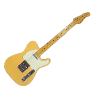 Gitar Elektrik Scorpion Telecaster Premium Series PT23