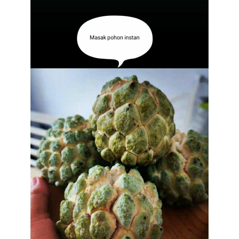 

Srikaya Matang instan 2 kg