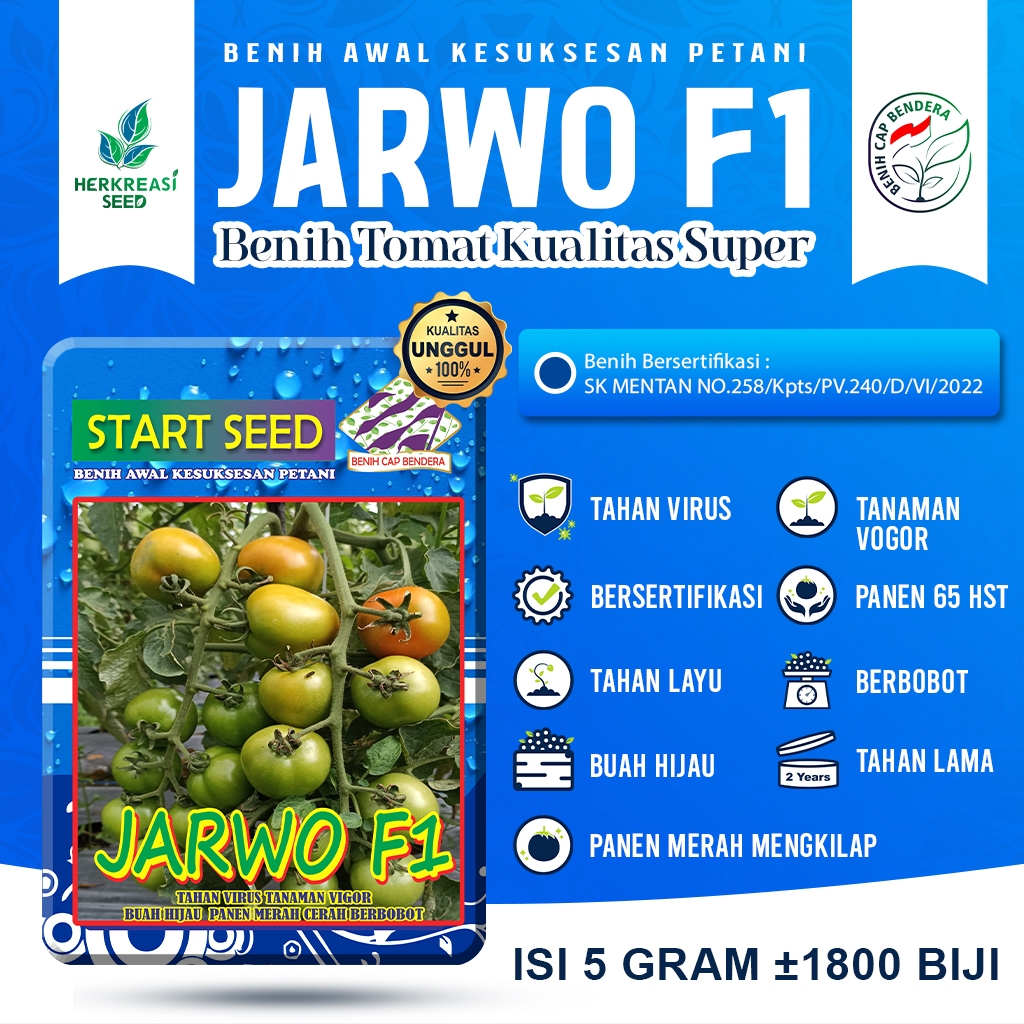 Benih Tomat JARWO F1 - 5 Gram Isi ±1800 Biji