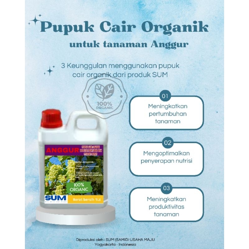 PUPUK CAIR ORGANIK UNTUK TANAMAN ANGGUR