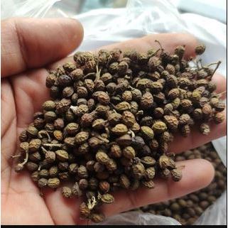 

1kg Biji buah Makasar|biji melur| kwalot |malot