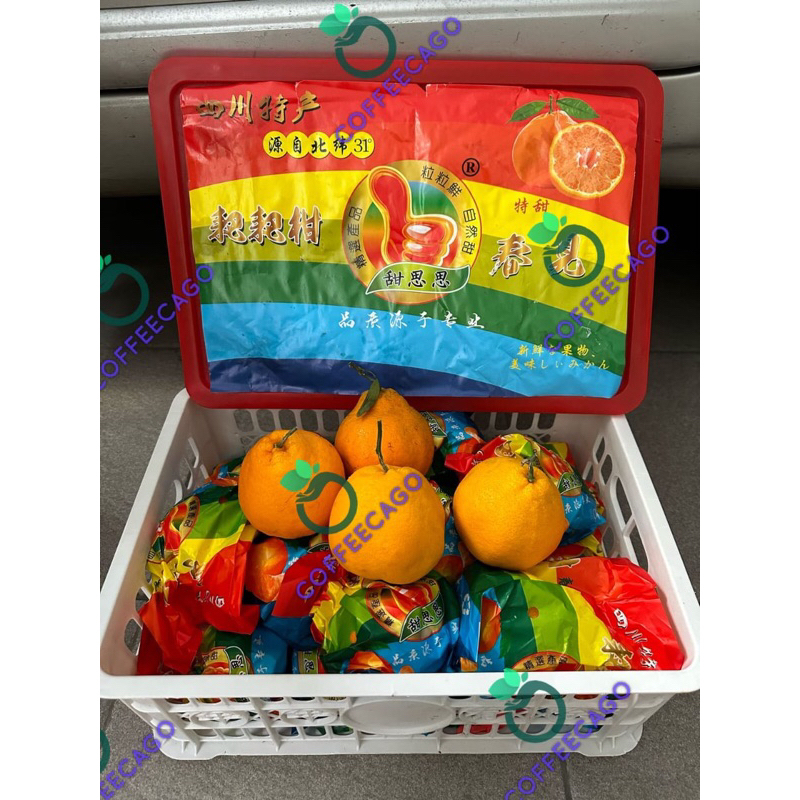 

Jeruk Dekopon Jempol (6.5 KG) Fresh Import