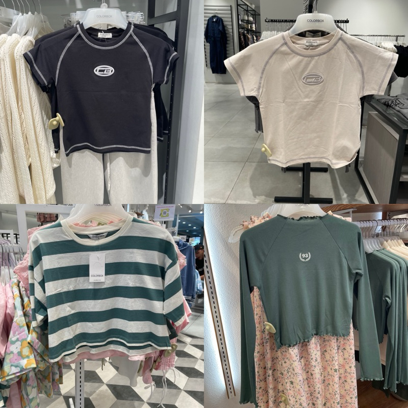 Kaos colorbox [jastip]