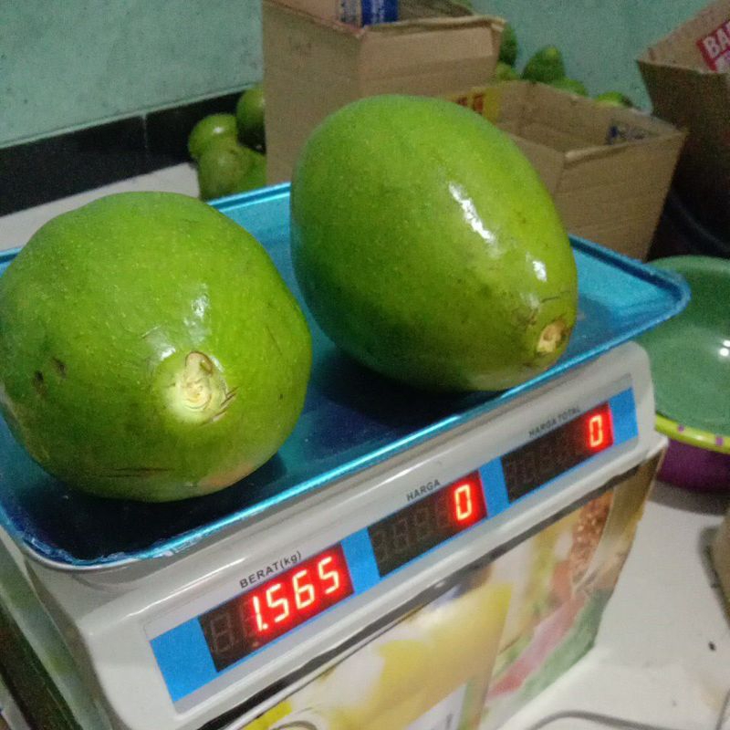 

Mentega asli dari gunung muria jumbo i si 700.800.900 gram