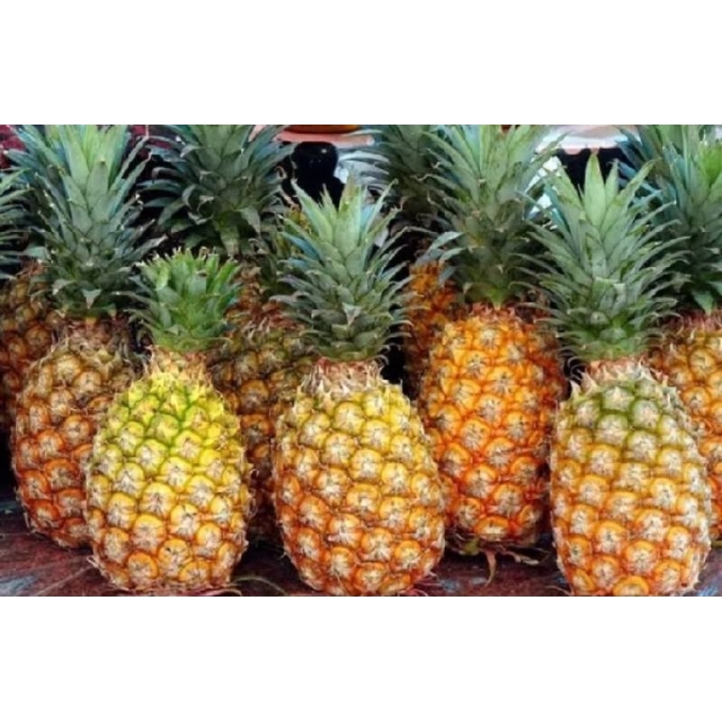 

nanas lokal