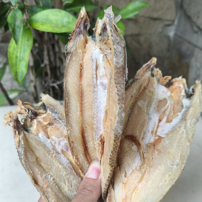 

IKAN BLOSO/KACANGAN ASIN EMPUK