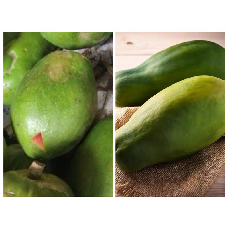 

Pepaya Rujak Mangkel 1 Pcs