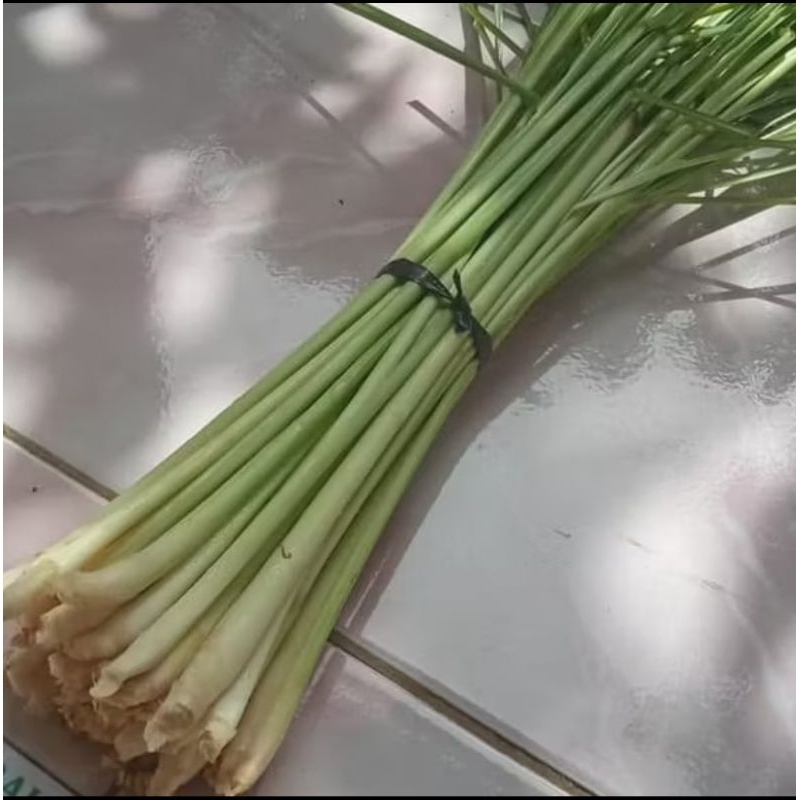 

Sereh wangi serai segar herbal 1kg
