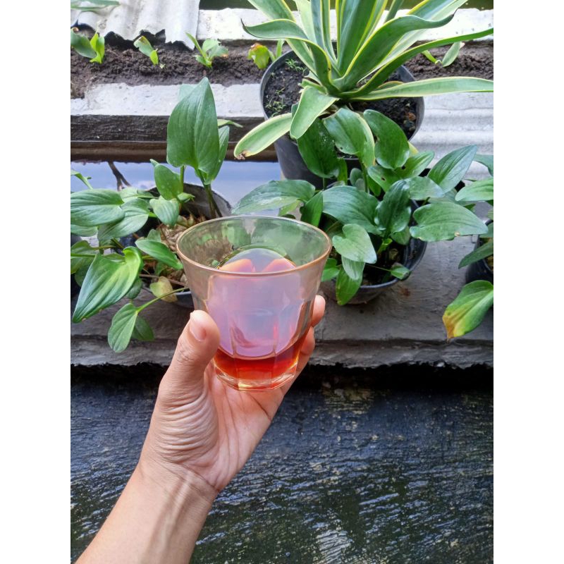 

pesanan kopi beans