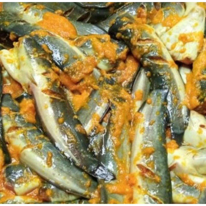 

LELE BUMBU MARINASI FROZEN 500GR SIAP GORENG TERLARIS TERVRAL(LELE MARINASI BUMBU KUNING)DI VACUM