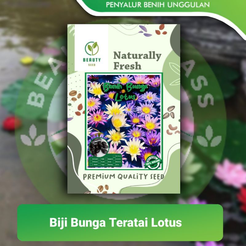 BIJI BUNGA LOTUS PINK - TERATAI BUNGA LOTUS