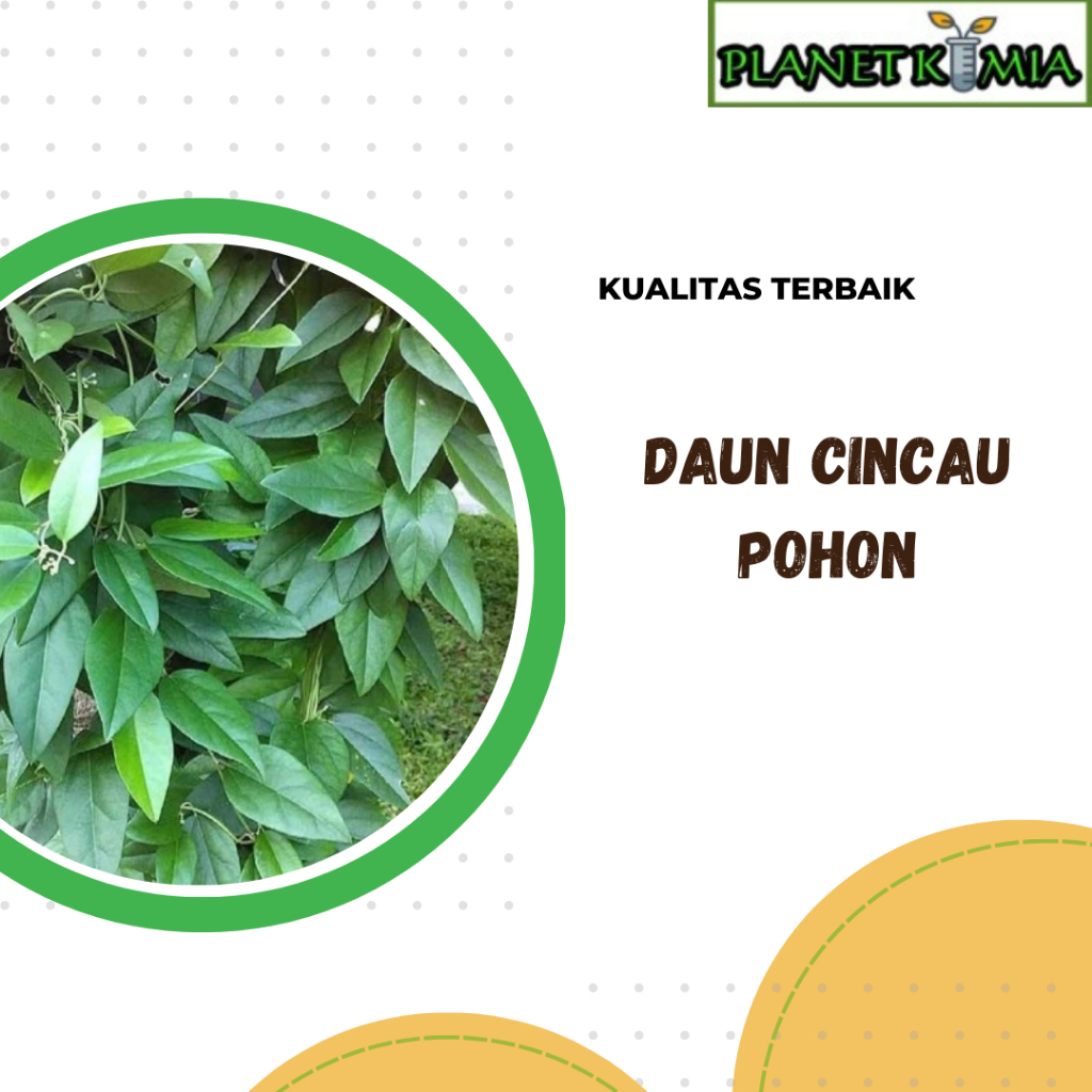 

dried,serbuk daun cincau pohon best product