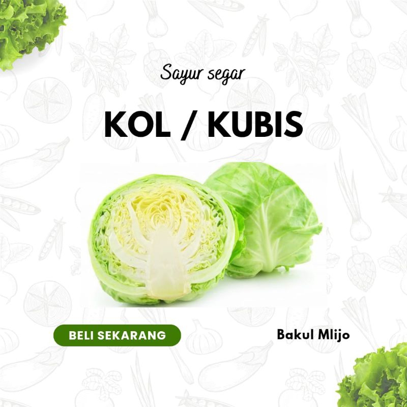 

SAYUR KOL GUBIS KUBIS SEGAR FRESH 500GR 1 KG / SAYUR SEGAR SIDOARJO