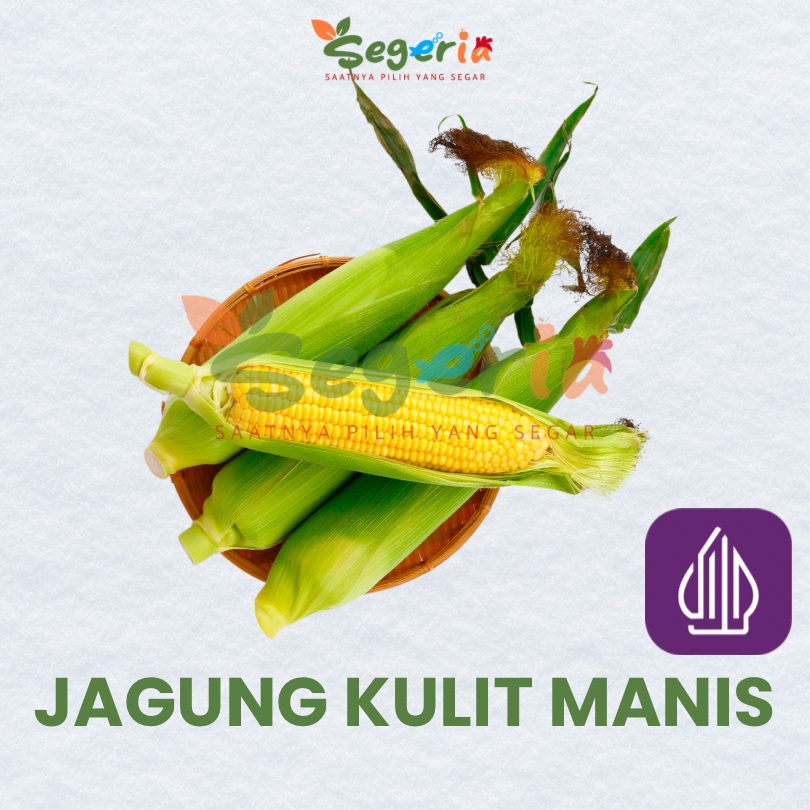 

JAGUNG KULIT MANIS 1KG