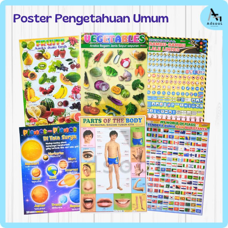 Poster Edukasi Anak Lengkap Belajar Gambar Dinding Estetik Buah Sayur Angka Binatang Anggota Tubuh P