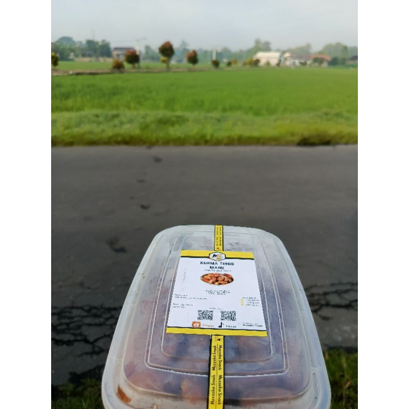 

Kurma Sukari Harga Grosir Premium
