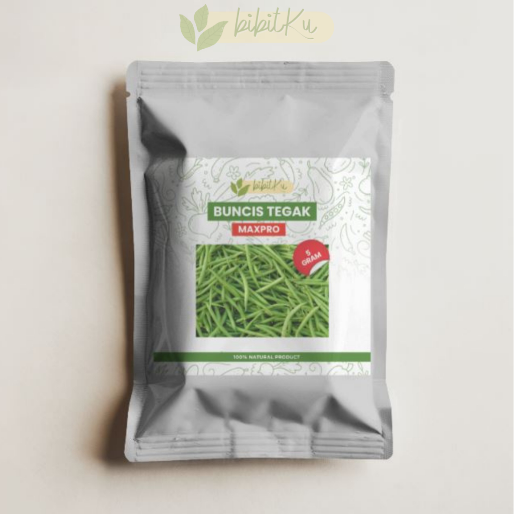 BENIH/BIBIT BUNCIS TEGAK TALA