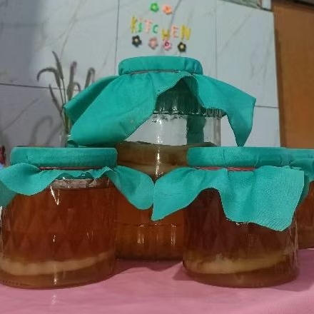 

BIBIT KOMBUCHA / SCUBA 20 CM