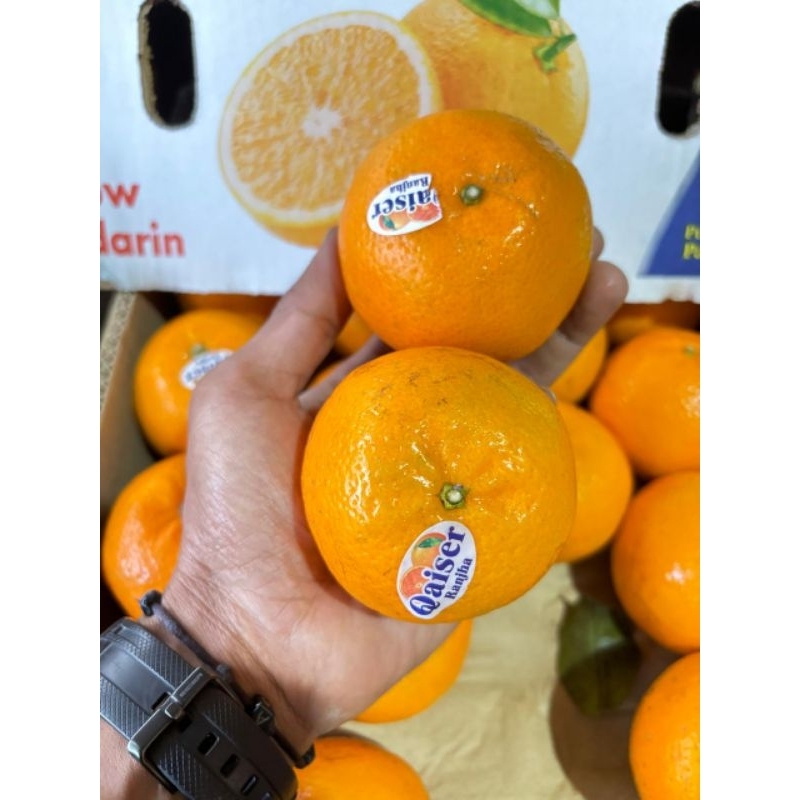 

Jeruk Kino Mandarin Fresh - Manis, Segar, dan Juicy