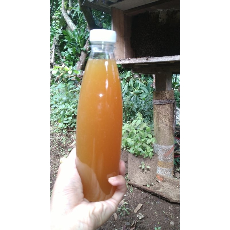 

[500ml]madu asli murni alami100%