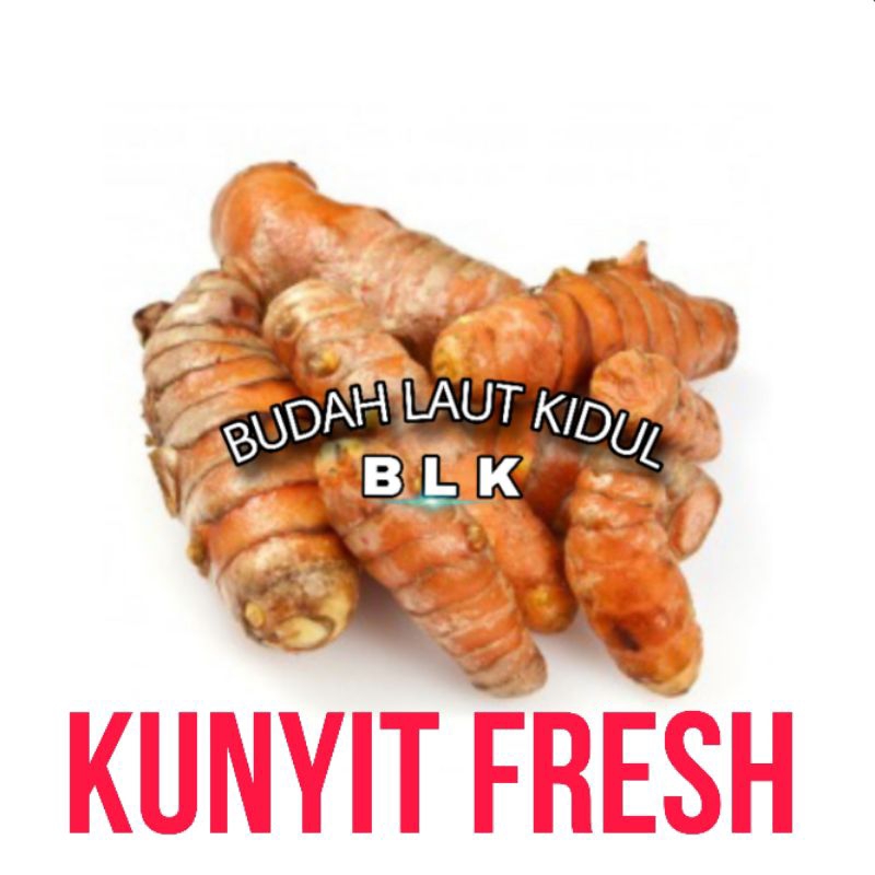 

Kunyit fresh | kunyit segar pilihan | kunyit /500g