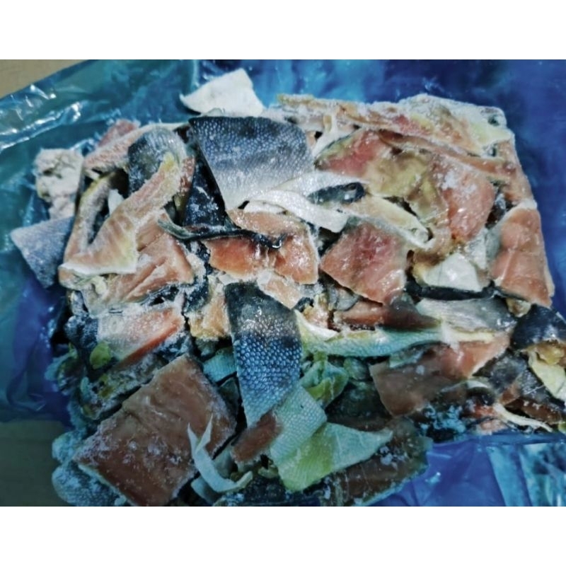 

Salmon tetelan portion skin on 1 kg